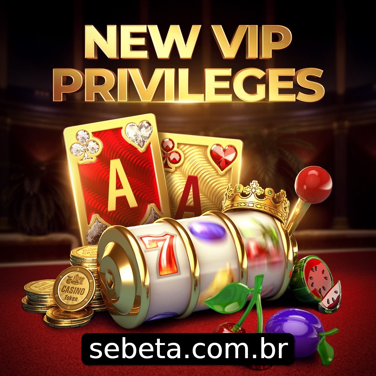 Programa VIP sebet